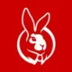 Mycasino